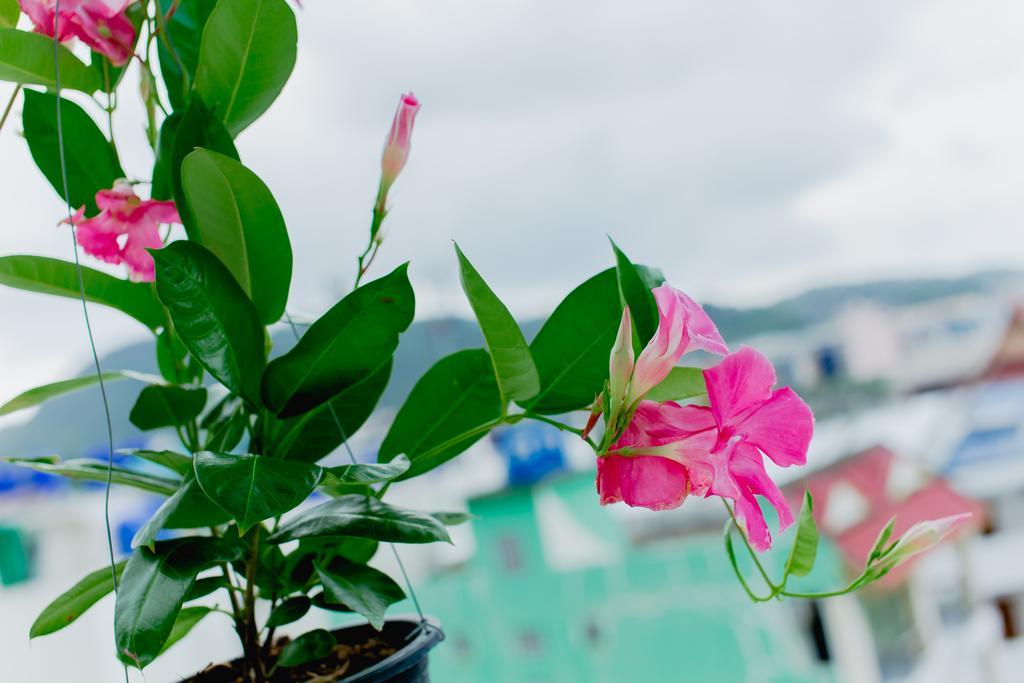 Rk Guesthouse Patong Екстер'єр фото